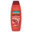 Palmolive Brilliant Colour Pomegranate Shampoo 350ml For Vibrant Hair Colour Protection by Betaglam