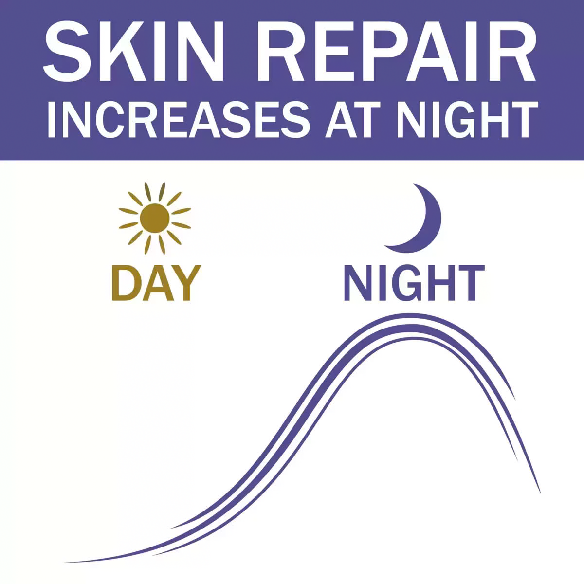 Olay Regenerist Retinol 24 Night Moisturiser Cream, 2 x 50ml by Betaglam