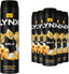 Gold Aerosol Body Spray 6X 200 Ml by Betaglam